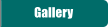 Gallery Gallery