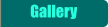 Gallery Gallery